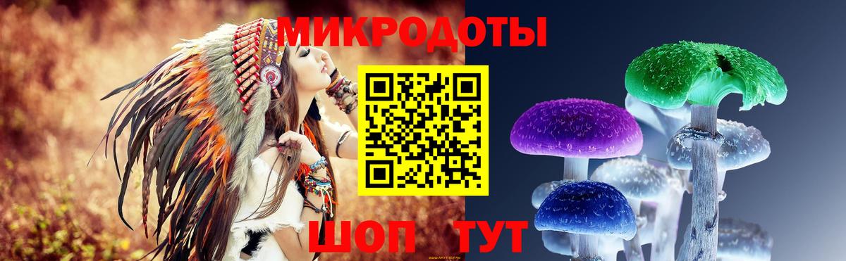 дарнет шоп  Псилоцибиновые грибы Magic Shrooms  Вход с VPN  Елабуга 